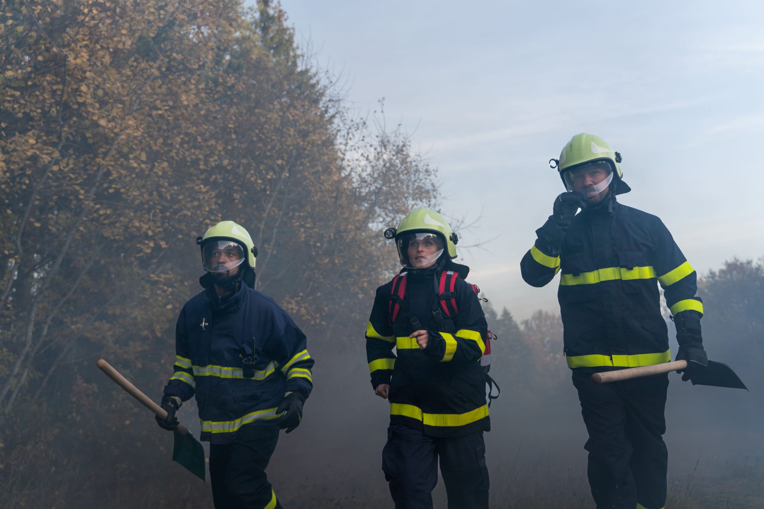 ¿Cómo evitar los incendios forestales?